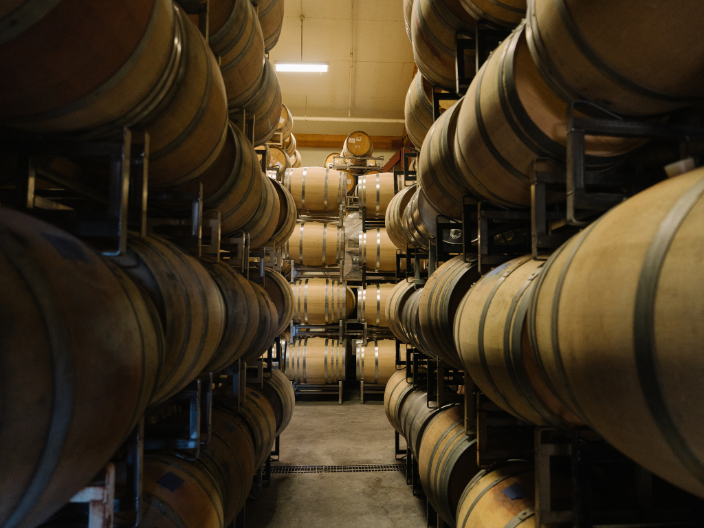 wine barrels in storage